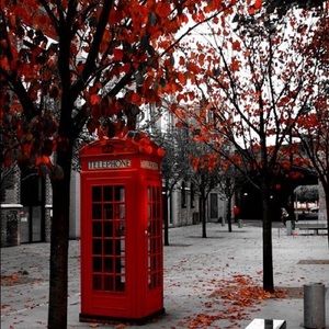 Meet your Posher, Alya